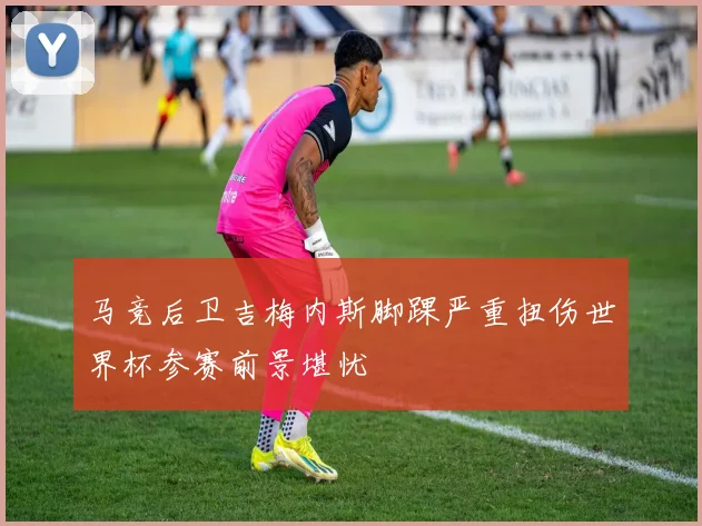 马竞后卫吉梅内斯脚踝严重扭伤世界杯参赛前景堪忧