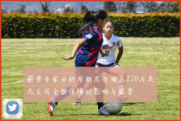 薪资专家分析布朗尼与湖人230万美元合同全额保障的影响与前景