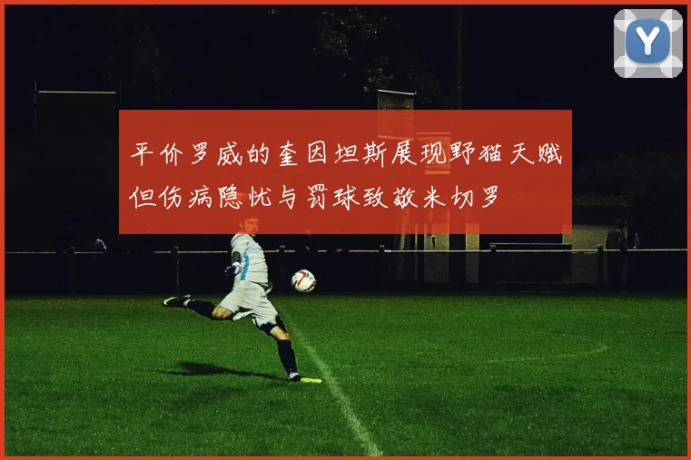 平价罗威的奎因坦斯展现野猫天赋但伤病隐忧与罚球致敬米切罗