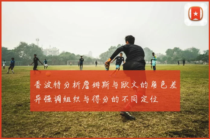 香波特分析詹姆斯与欧文的角色差异强调组织与得分的不同定位